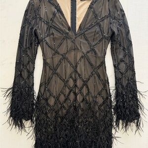Chic Black Feathered Long Sleeve Dress